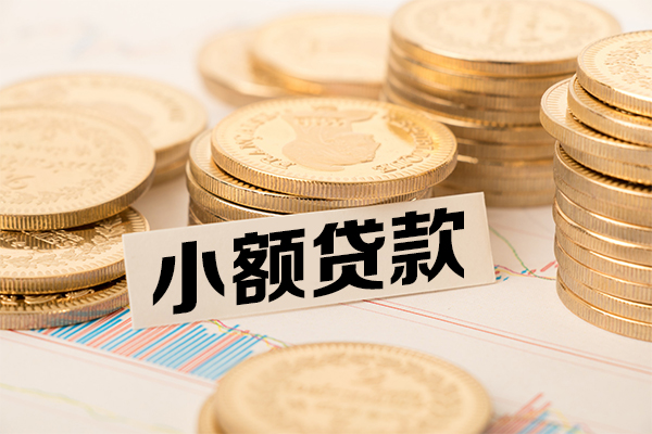 成都郫都区小额贷款当天放款